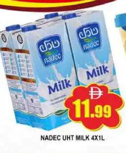 Al Madina NADEC Long Life / UHT Milk offer