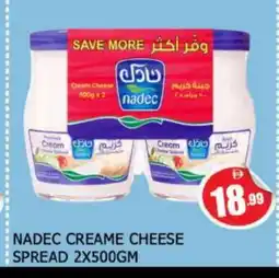 Al Madina NADEC Cream Cheese offer