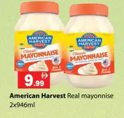 Gulf Hypermarket AMERICAN HARVEST Mayonnaise offer