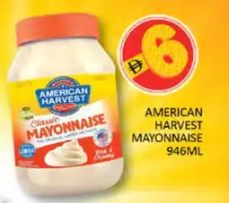 Al Madina AMERICAN CLASSIC Mayonnaise offer