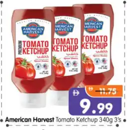 Al Madina Hypermarket AMERICAN HARVEST Tomato Ketchup offer