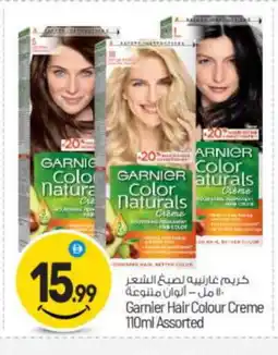 Bigmart GARNIER Hair Colour offer
