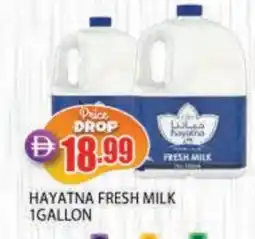 Al Madina HAYATNA Fresh Milk offer