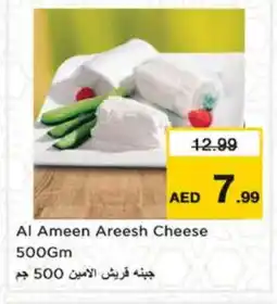 Nesto SADIA Chicken Burger offer