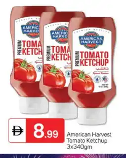 Talal Market AMERICAN HARVEST Tomato Ketchup offer