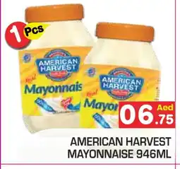 Baniyas Spike Hypermarket AMERICAN HARVEST Mayonnaise offer