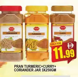 Al Madina PRAN Spices / Masala offer
