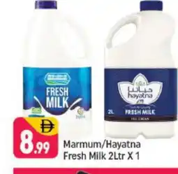 Shaklan HAYATNA Fresh Milk offer