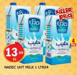 Al Madina NADEC Long Life / UHT Milk offer
