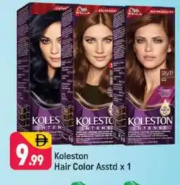 Shaklan WELLA Hair Colour offer