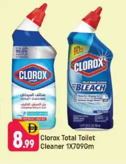 Shaklan CLOROX Toilet / Drain Cleaner offer