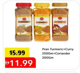 Mark & Save PRAN Spices / Masala offer