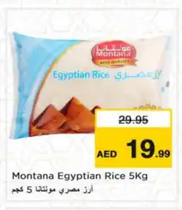 Nesto SHAN Spices / Masala offer