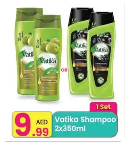 Everyday Center VATIKA Shampoo / Conditioner offer
