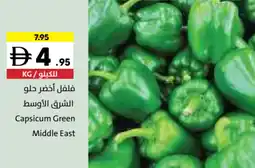Sharjah Co-op Capsicum Green Middle East offer