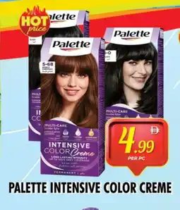 Night to Night Hypermarket PALETTE Hair Colour offer
