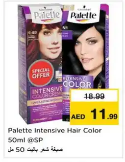 Nesto PALETTE Hair Colour offer