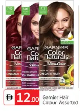 Talal Market GARNIER Hair Colour offer