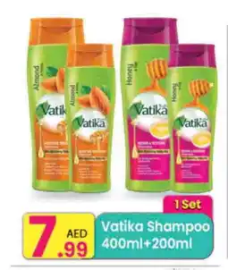 Everyday Center VATIKA Shampoo / Conditioner offer