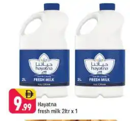 Shaklan HAYATNA Fresh Milk offer