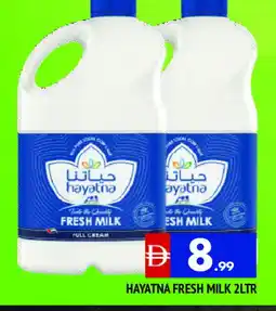 Al Madina HAYATNA Full Cream Milk offer