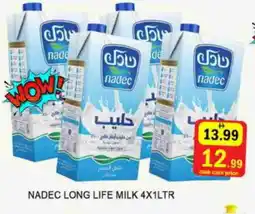 Al Madina NADEC Long Life / UHT Milk offer