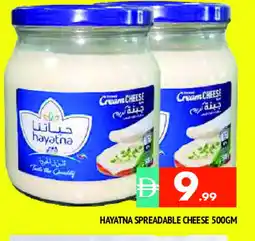 Al Madina HAYATNA Cream Cheese offer