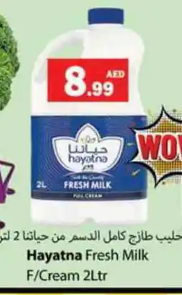 Zain Hypermarket HAYATNA Fresh Milk offer