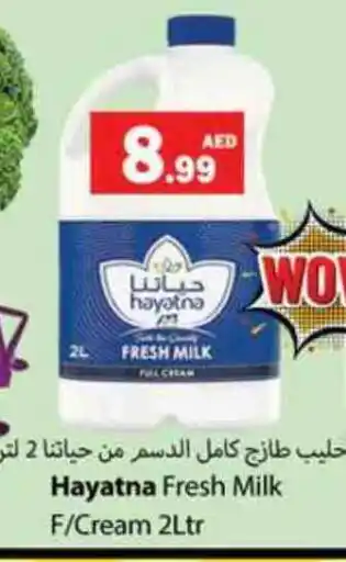 Zain Hypermarket HAYATNA Fresh Milk offer