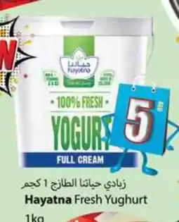 Zain Hypermarket HAYATNA Yoghurt offer
