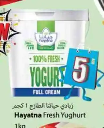 Zain Hypermarket HAYATNA Yoghurt offer