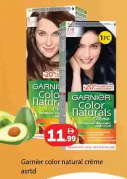 Zain Hypermarket GARNIER Hair Colour offer