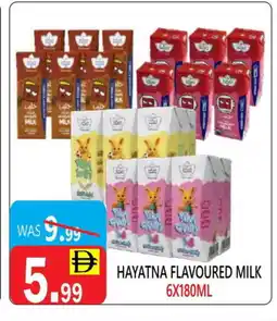 United Hypermarket HAYATNA Flavoured Milk offer