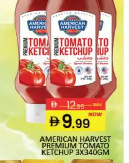 Mango Hypermarket LLC AMERICAN HARVEST Tomato Ketchup offer