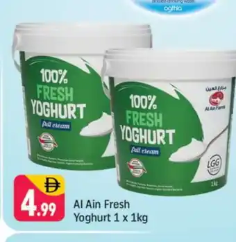 Shaklan AL AIN Yoghurt offer