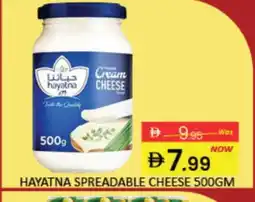 Mango Hypermarket LLC HAYATNA Cream Cheese offer