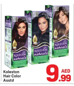 Day To Day WELLA Shampoo / Conditioner offer