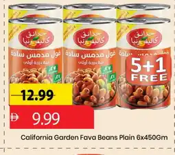 Mark & Save CALIFORNIA GARDEN Fava Beans offer