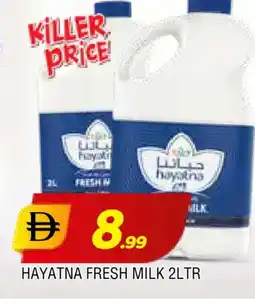 Al Madina HAYATNA Fresh Milk offer