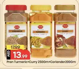 Mark & Save PRAN Spices / Masala offer