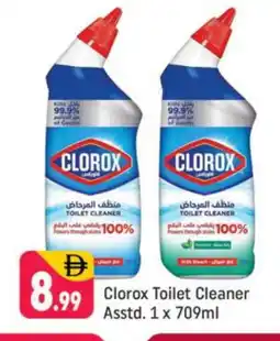 Shaklan CLOROX Toilet / Drain Cleaner offer