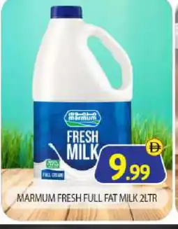 Bigmart MARMUM Full Cream Milk offer