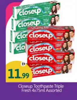 Bigmart CLOSE UP Toothpaste offer