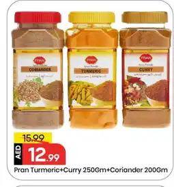 Mark & Save PRAN Spices / Masala offer