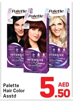 Day To Day PALETTE Hair Colour offer