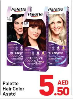 Day To Day PALETTE Hair Colour offer