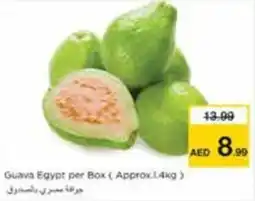 Nesto Guava Egypt per Box offer