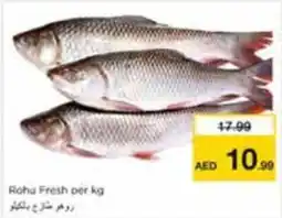Nesto Rohu Fresh offer