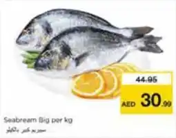 Nesto Seabream Big offer