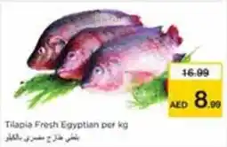 Nesto Tilapia Fresh Egyptian offer